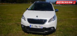 peugeot_2008.jpg