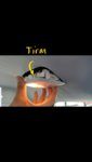 Luz Trasera_3.jpg
