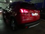 IMG-20190131-WA0192.jpg