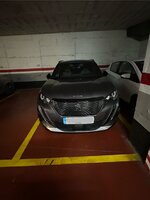 IMG_3142.JPEG