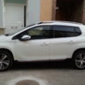 Vicent