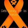 Curiel85
