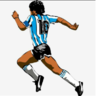 Pato grande